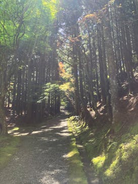 延暦寺に投稿された画像（2024/5/5）