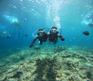 沖縄マリンサービス碧に投稿された画像（2024/5/5）