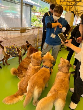 つくばわんわんランドに投稿された画像（2024/5/5）