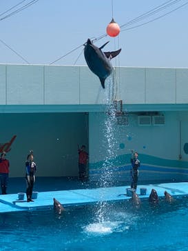 南知多ビーチランド＆南知多おもちゃ王国に投稿された画像（2024/5/5）