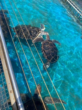 南知多ビーチランド＆南知多おもちゃ王国に投稿された画像（2024/5/5）