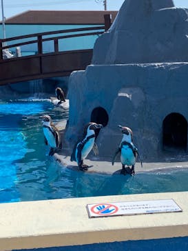 南知多ビーチランド＆南知多おもちゃ王国に投稿された画像（2024/5/5）