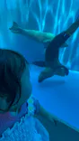 仙台うみの杜水族館に投稿された画像（2024/5/5）