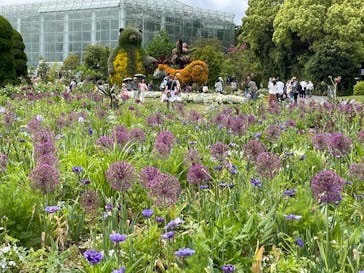 浜名湖花博2024に投稿された画像（2024/5/5）