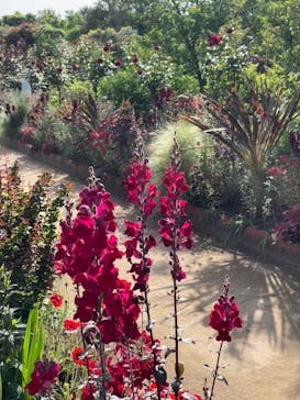 浜名湖花博2024に投稿された画像（2024/5/5）