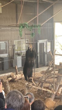 のぼりべつクマ牧場に投稿された画像（2024/5/5）