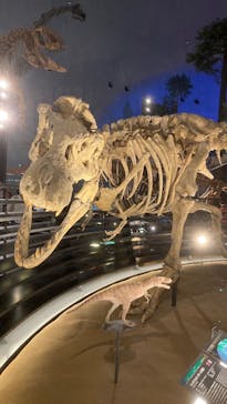 福井県立恐竜博物館に投稿された画像（2024/5/5）