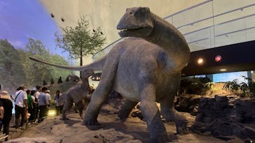 福井県立恐竜博物館に投稿された画像（2024/5/5）