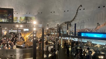 福井県立恐竜博物館に投稿された画像（2024/5/5）