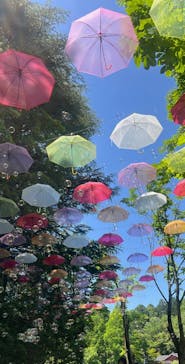 ムーミンバレーパークに投稿された画像（2024/5/5）