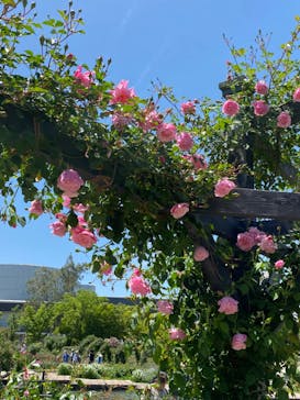 万博記念公園に投稿された画像（2024/5/5）