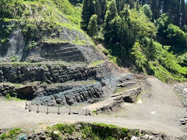 福井県立恐竜博物館に投稿された画像（2024/5/5）