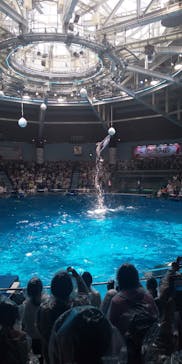 マクセル アクアパーク品川に投稿された画像（2024/5/5）