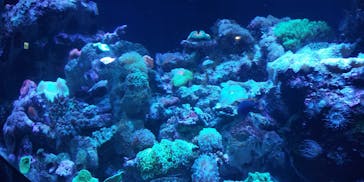 マクセル アクアパーク品川に投稿された画像（2024/5/5）