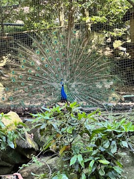 伊豆シャボテン動物公園に投稿された画像（2024/5/5）