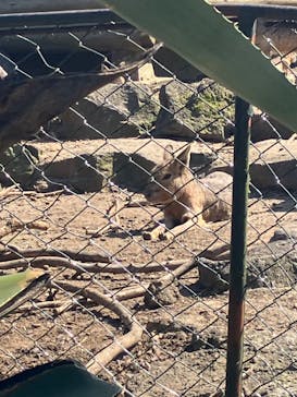 伊豆シャボテン動物公園に投稿された画像（2024/5/5）