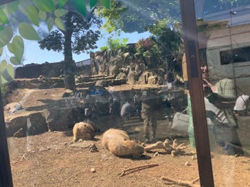 伊豆シャボテン動物公園に投稿された画像（2024/5/5）