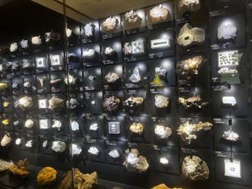 国立科学博物館に投稿された画像（2024/5/5）