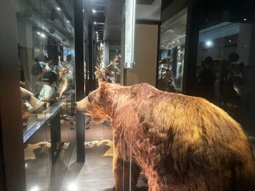 国立科学博物館に投稿された画像（2024/5/5）