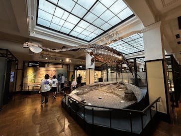 国立科学博物館に投稿された画像（2024/5/5）