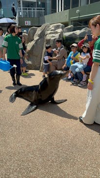 アクアワールド茨城県大洗水族館に投稿された画像（2024/5/5）