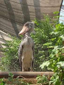 神戸どうぶつ王国に投稿された画像（2024/5/5）