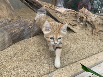 神戸どうぶつ王国に投稿された画像（2024/5/5）