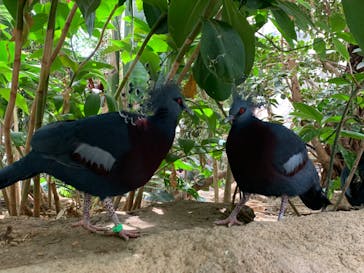 神戸どうぶつ王国に投稿された画像（2024/5/5）