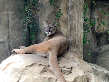 神戸どうぶつ王国に投稿された画像（2024/5/5）