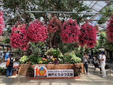 神戸どうぶつ王国に投稿された画像（2024/5/5）