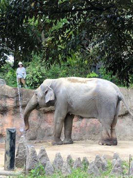到津の森公園に投稿された画像（2024/5/5）