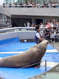 大分マリーンパレス水族館 「うみたまご」に投稿された画像（2024/5/5）