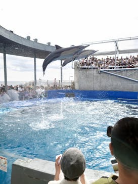 大分マリーンパレス水族館 「うみたまご」に投稿された画像（2024/5/5）
