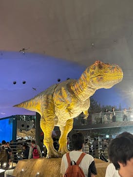 福井県立恐竜博物館に投稿された画像（2024/5/5）