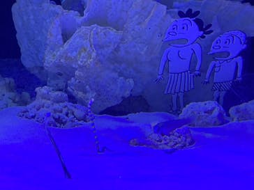 竹島水族館に投稿された画像（2024/5/5）