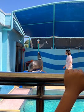 竹島水族館に投稿された画像（2024/5/5）