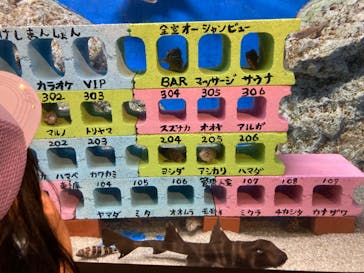 竹島水族館に投稿された画像（2024/5/5）
