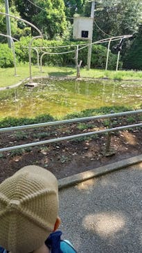 千葉市動物公園に投稿された画像（2024/5/5）