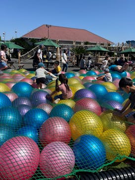 伊豆ぐらんぱる公園に投稿された画像（2024/5/5）