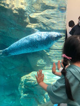 京都水族館に投稿された画像（2024/5/5）
