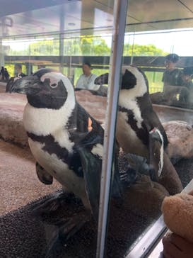 京都水族館に投稿された画像（2024/5/5）