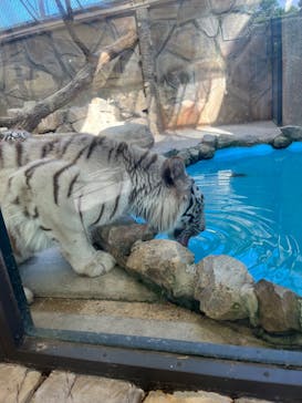 姫路セントラルパークに投稿された画像（2024/5/5）