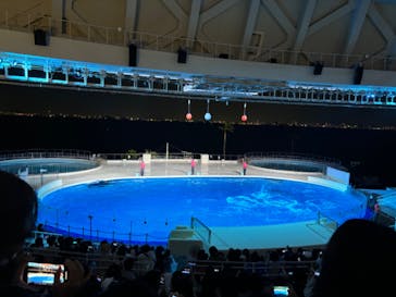 マリンワールド海の中道に投稿された画像（2024/5/5）