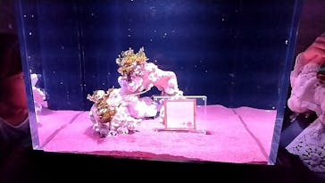 マクセル アクアパーク品川に投稿された画像（2024/5/5）