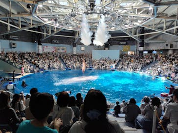 マクセル アクアパーク品川に投稿された画像（2024/5/5）