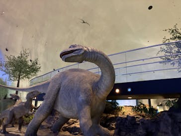 福井県立恐竜博物館に投稿された画像（2024/5/5）