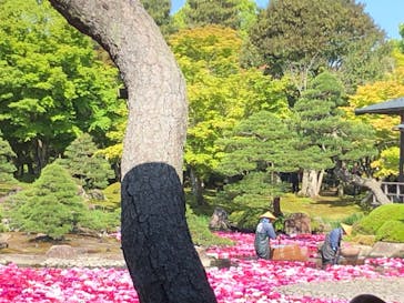 日本庭園　由志園に投稿された画像（2024/5/5）