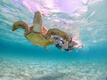 初心者専門宮古島シュノーケリングツアーに投稿された画像（2024/5/5）