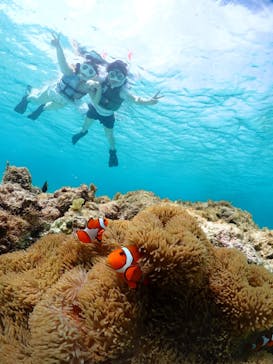 初心者専門宮古島シュノーケリングツアーに投稿された画像（2024/5/5）