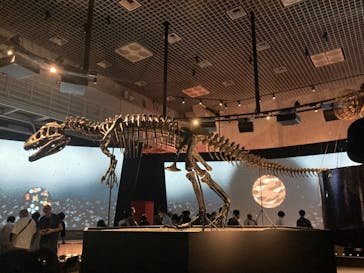 国立科学博物館に投稿された画像（2024/5/5）